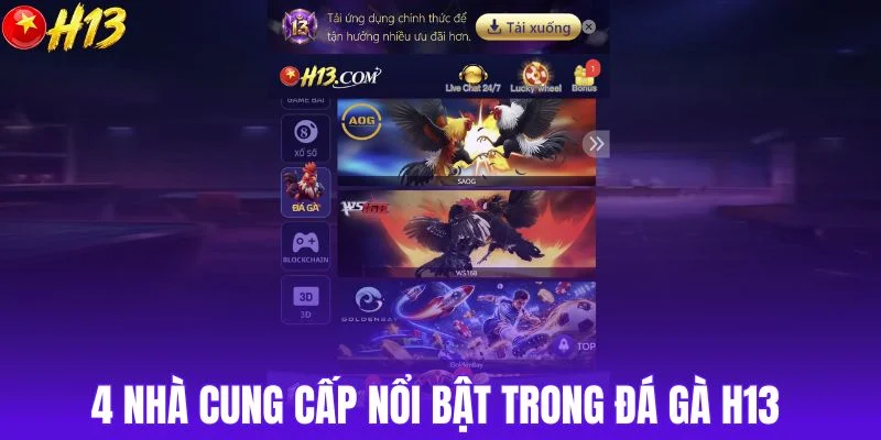 4 nhà cung cấp nổi bật trong đá gà H13 